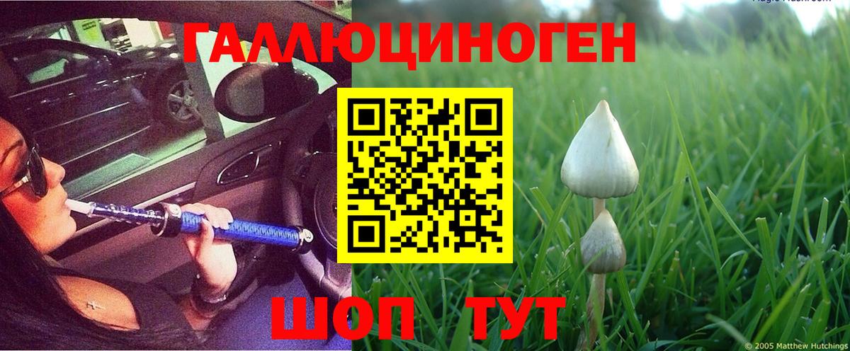 Псилоцибиновые грибы мицелий  Вход с VPN  Псилоцибиновые грибы ЛСД  Реутов 